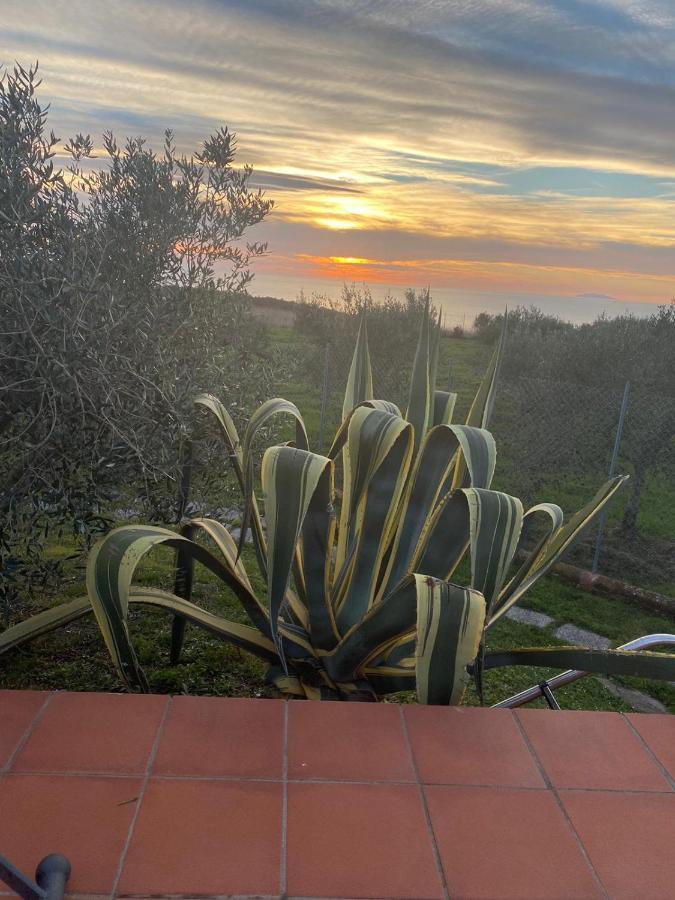 Appartement Sunset House à Castiglioncello Extérieur photo